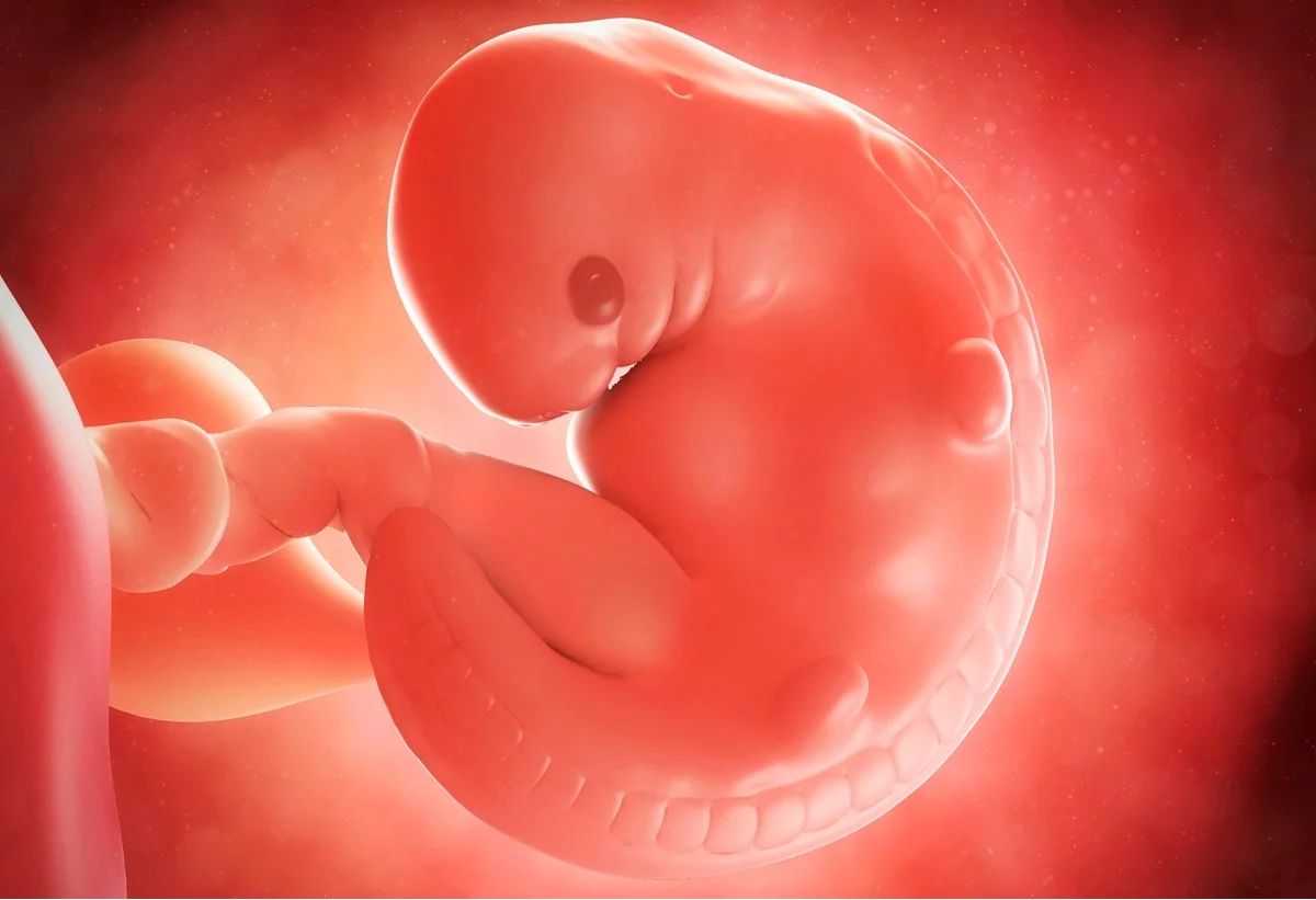 Pregnancy, childbirth and the puerperium 